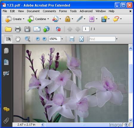 PDF file converted from image file