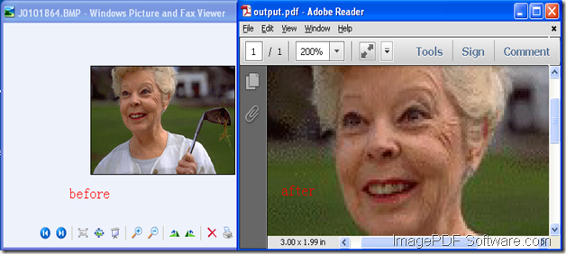 comparision between original image and target PDF